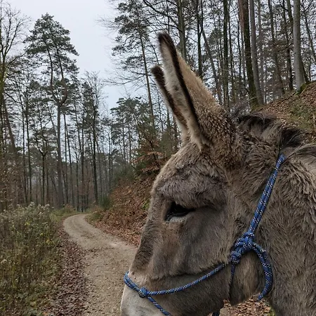 Mon Chez Moi Ferienhaus Soucht