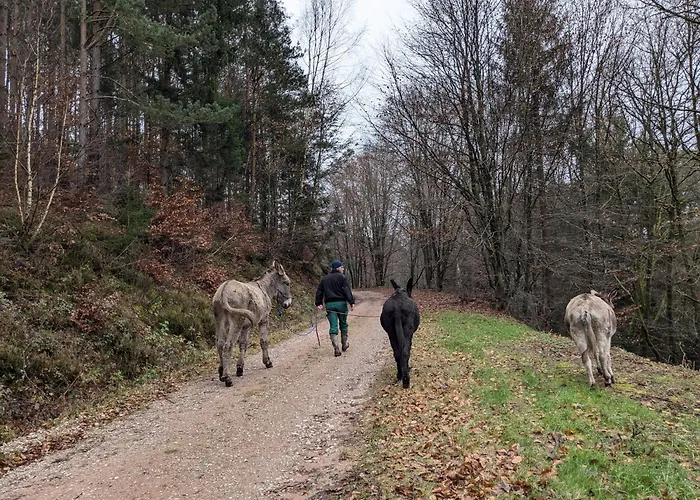 Mon Chez Moi 펜션 *